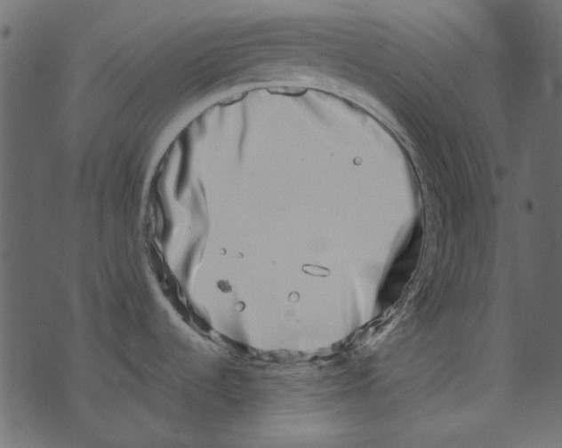 X0000073401536200608251446