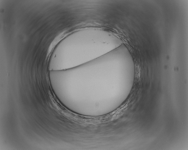 X0000073410004200607280922