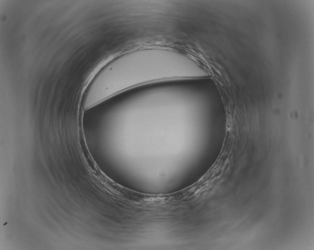 X0000073410052200607280920