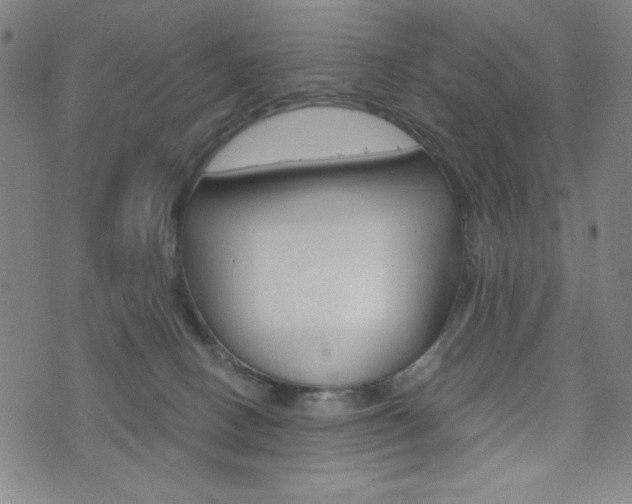 X0000073410082200607280921