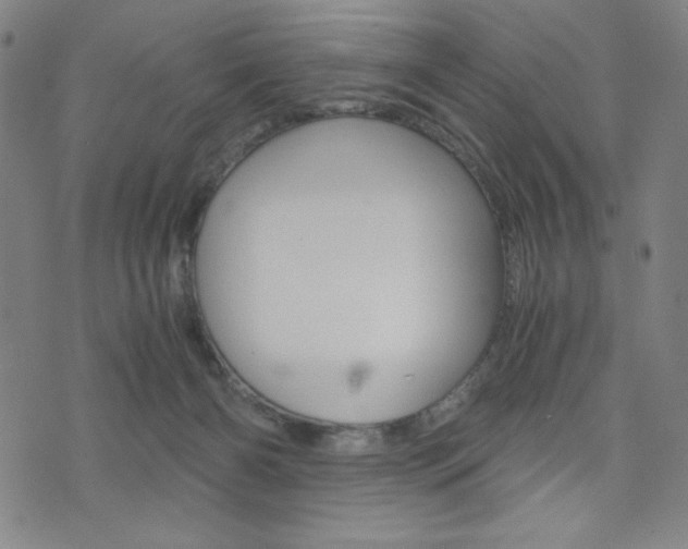 X0000073410126200607280920