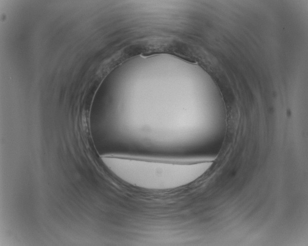 X0000073410137200607280919