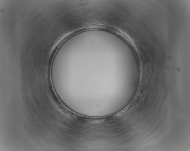 X0000073410155200607280919