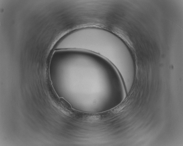 X0000073410156200607280919
