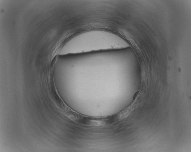 X0000073410167200607280919
