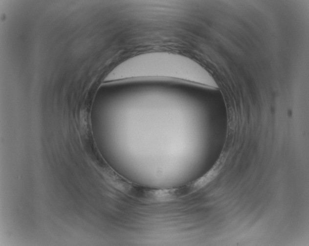 X0000073410184200607280919