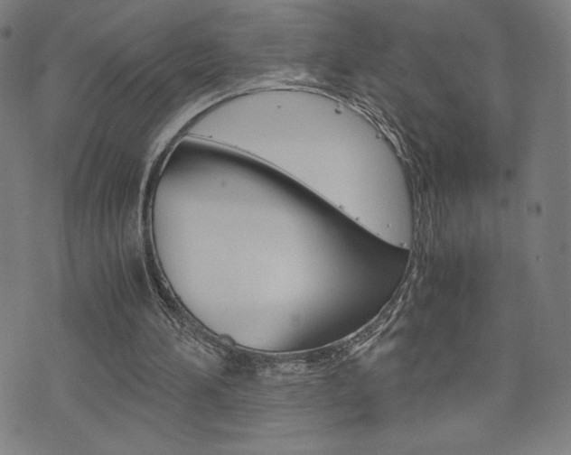 X0000073410196200607280918