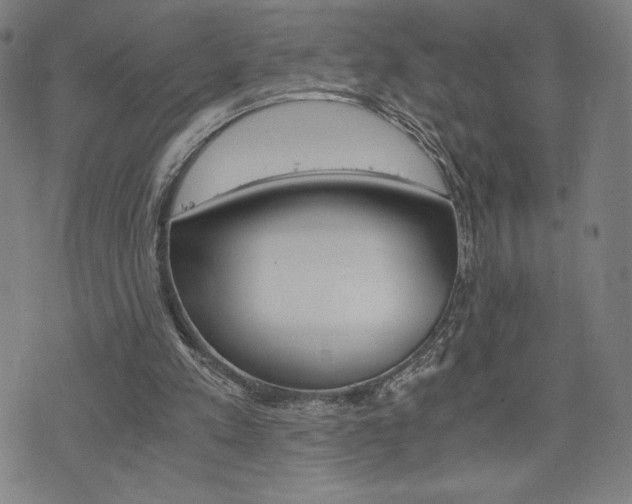 X0000073410197200607280918