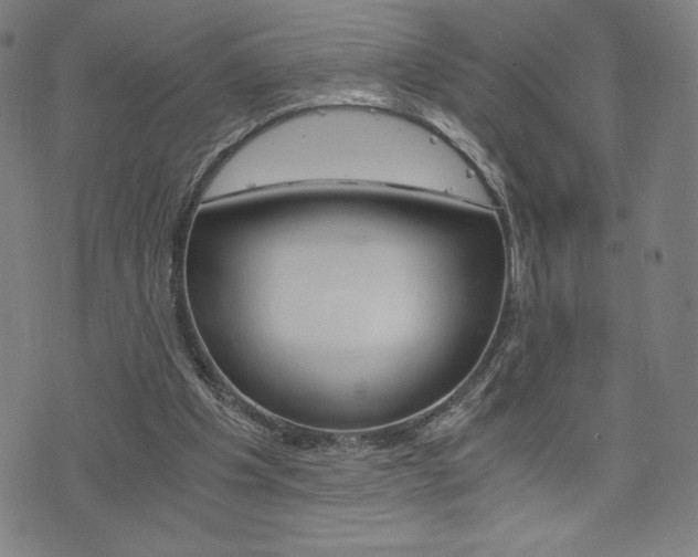 X0000073410201200607280918