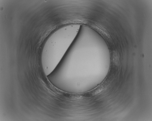 X0000073410206200607280918