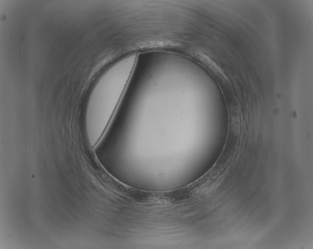 X0000073410207200607280918