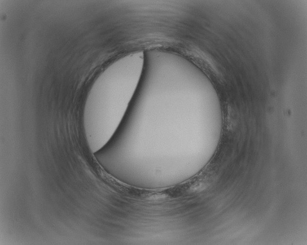 X0000073410210200607280918