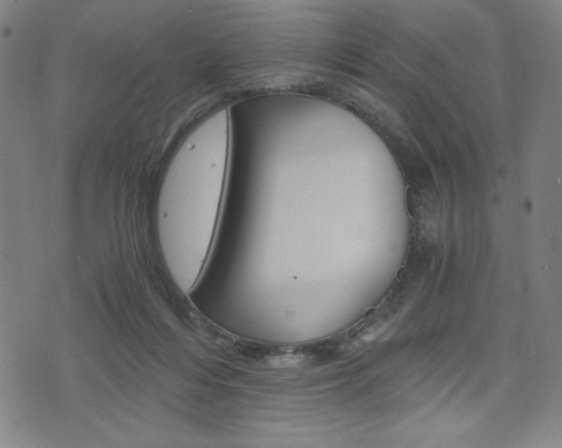 X0000073410216200607280918