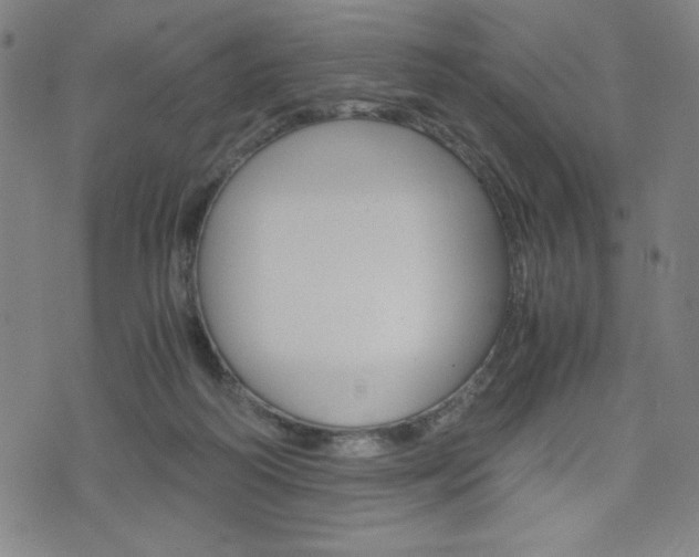 X0000073410218200607280918