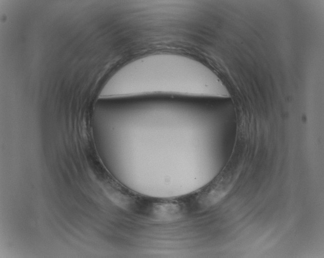 X0000073410220200607280918