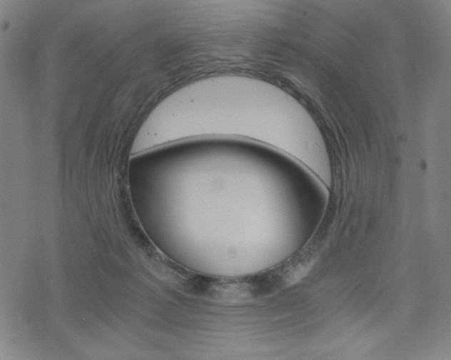 X0000073410221200607280918