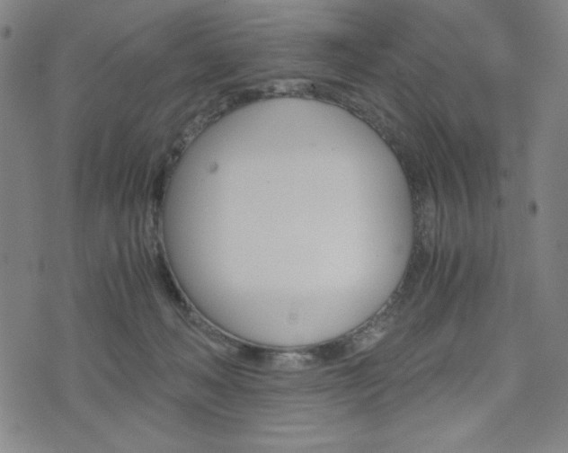 X0000073410222200607280918