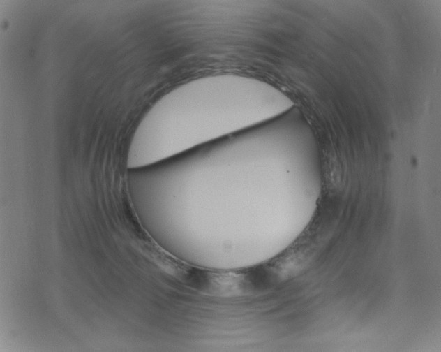 X0000073410226200607280918