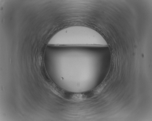 X0000073410227200607280918