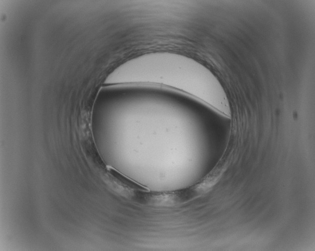 X0000073410237200607280918