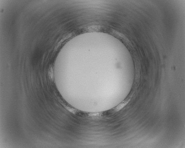 X0000073410240200607280918