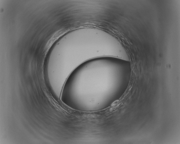 X0000073410242200607280917