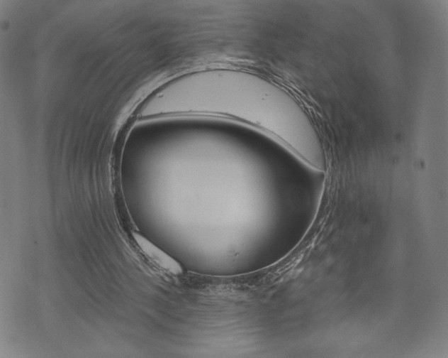 X0000073410244200607280917