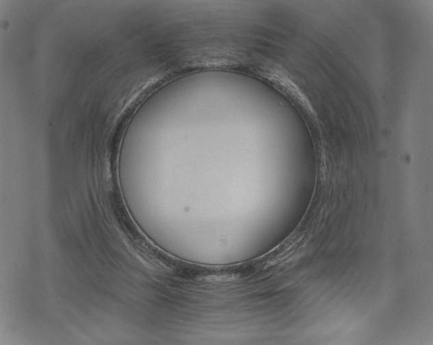 X0000073410251200607280917