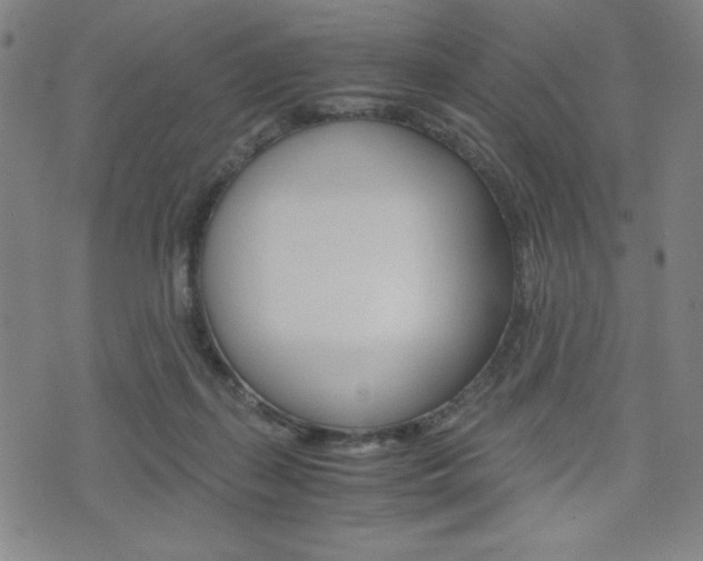 X0000073410267200607280917
