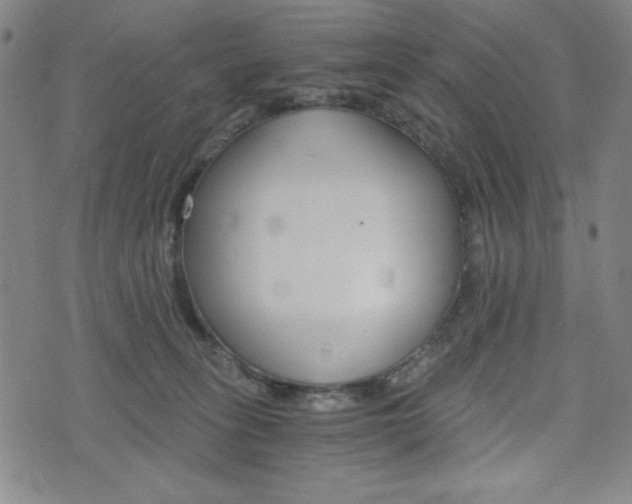 X0000073410275200607280918