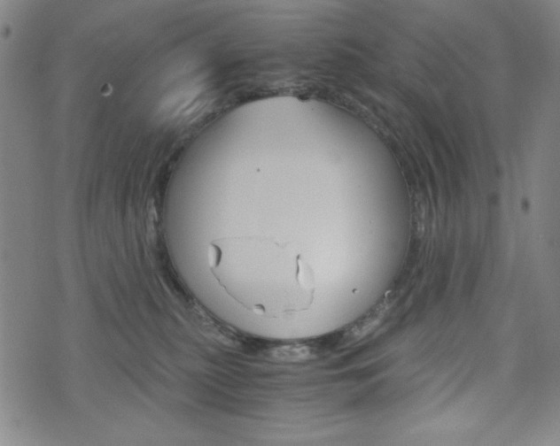 X0000073410279200607280918