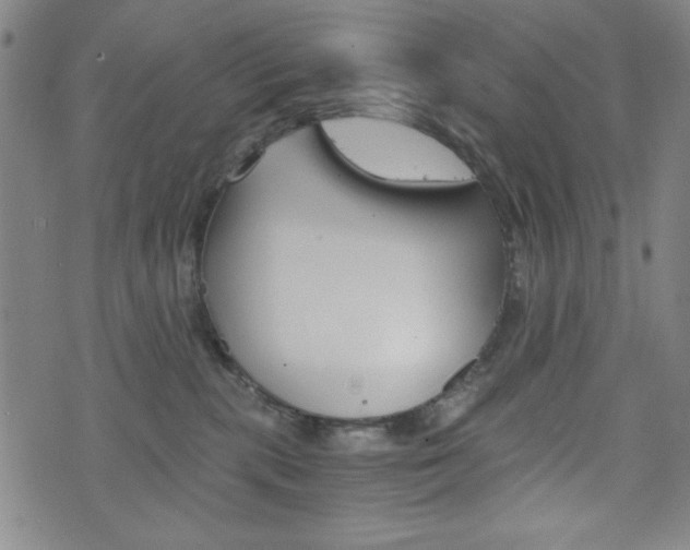 X0000073410283200607280918