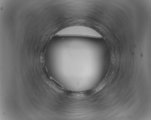 X0000073410284200607280918