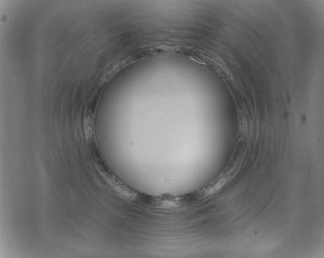 X0000073410285200607280918