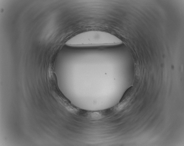 X0000073410287200607280918