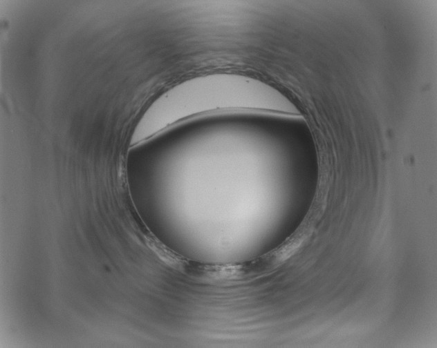 X0000073410288200607280918