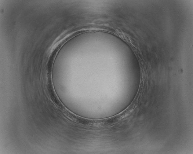 X0000073410295200607280917