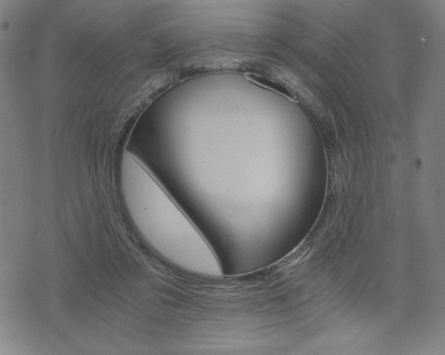 X0000073410309200607280917