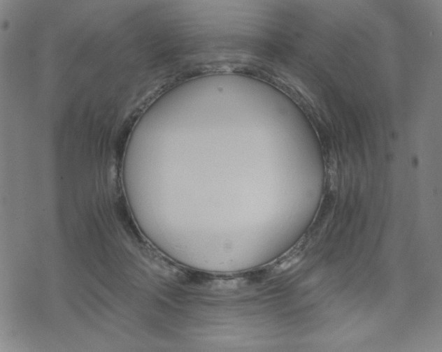 X0000073410314200607280917