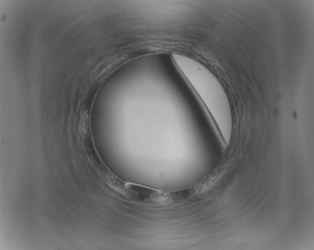 X0000073410325200607280916