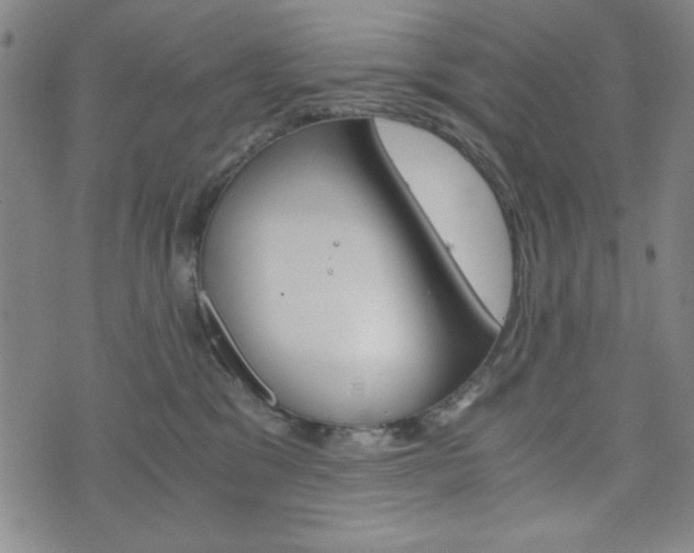X0000073410329200607280916