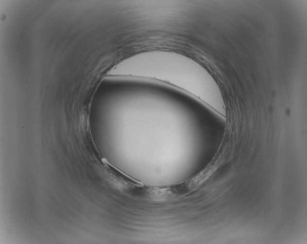 X0000073410333200607280916