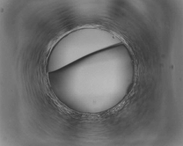 X0000073410337200607280915