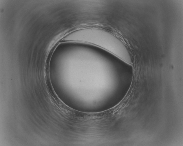 X0000073410340200607280915