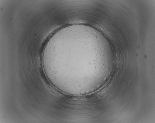 X0000073410351200607280916