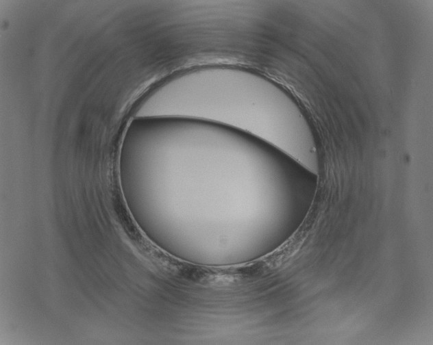 X0000073410352200607280916