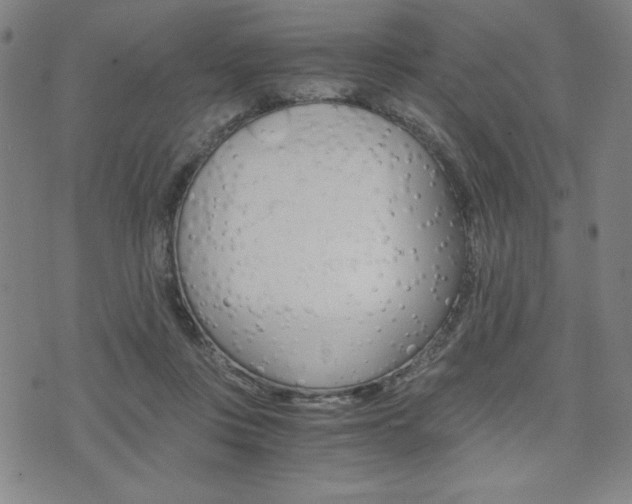 X0000073410359200607280916