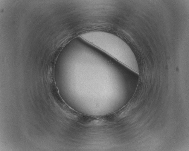X0000073410364200607280916