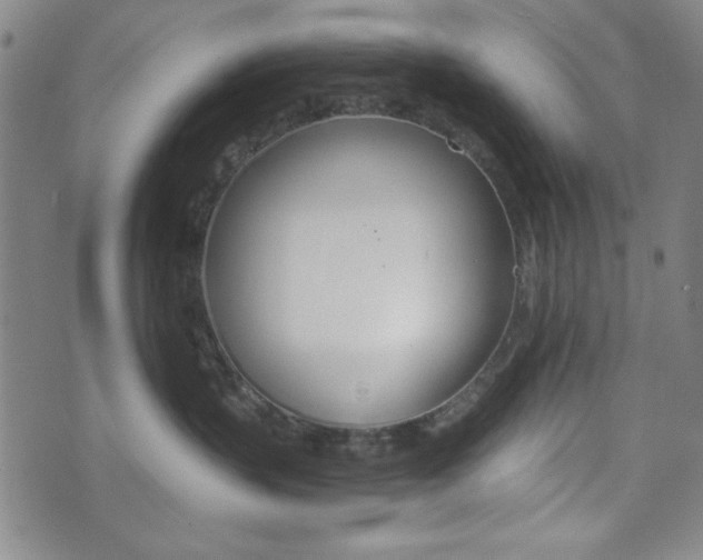 X0000073410383200607280916