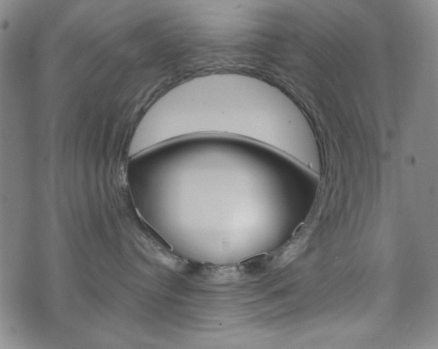 X0000073410384200607280916